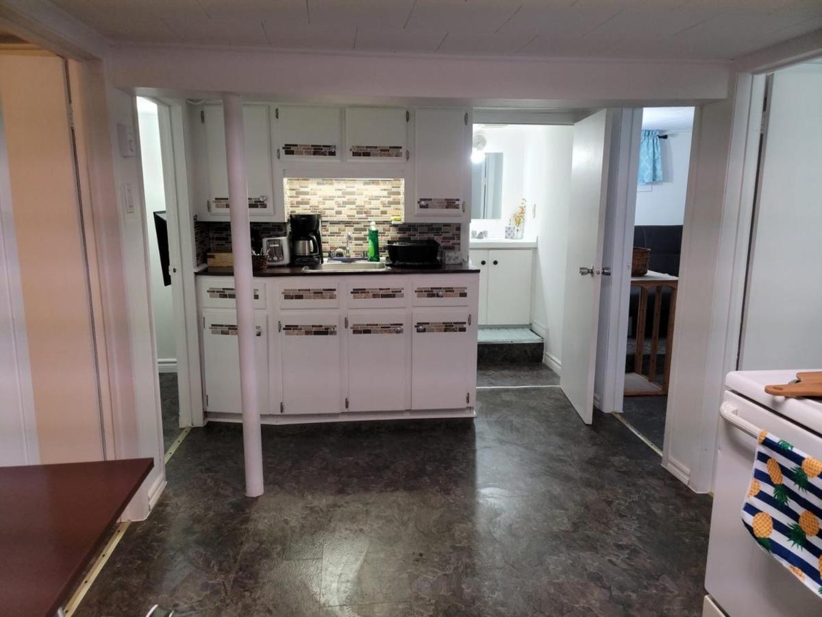 埃德门兹顿Lower Level Apt 6Ft High Close To Hwy Netflix Wifi公寓 外观 照片